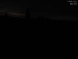 21 : 28