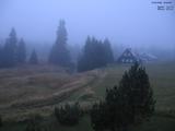 19 : 24