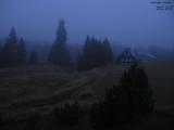 19 : 36