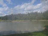 13 : 36