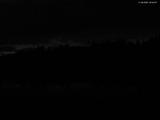 20 : 40