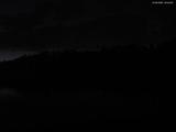 20 : 40