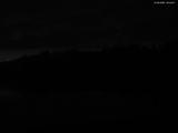 20 : 44