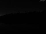 20 : 40