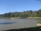 15 : 52