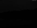 03 : 44