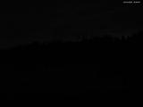 19 : 08