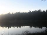 20 : 44