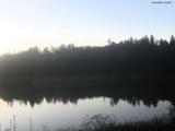 20 : 48