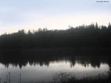 20 : 16
