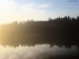 20 : 28