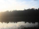 20 : 40
