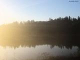 20 : 32
