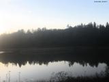 20 : 52