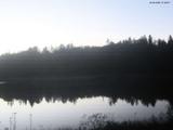 21 : 28