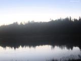 22 : 24