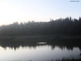 20 : 44