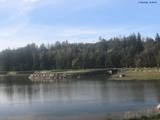 16 : 36