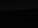 21 : 28