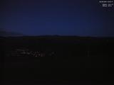 20 : 40