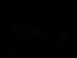 20 : 52