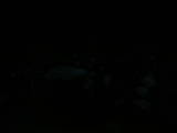 20 : 48