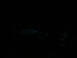 20 : 40