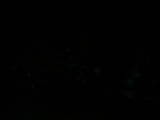 20 : 40