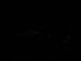 20 : 40