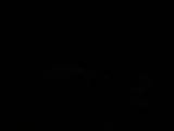 20 : 40