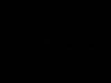 20 : 40