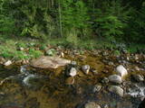 09 : 12