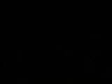 20 : 52