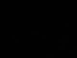 04 : 48