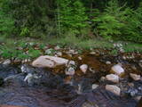 19 : 44