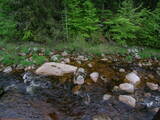 18 : 48