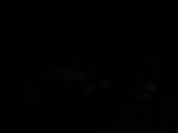 04 : 00