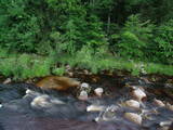 19 : 56