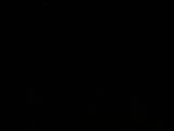 22 : 04