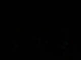 04 : 00
