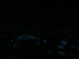 21 : 52