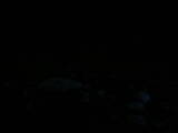 04 : 04