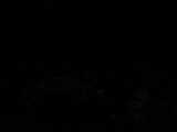 22 : 04