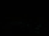 21 : 20