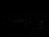 05 : 00