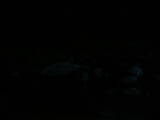 05 : 04