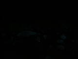 19 : 36