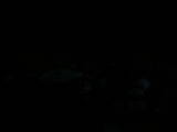 06 : 08