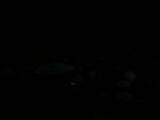 06 : 12