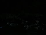 19 : 20